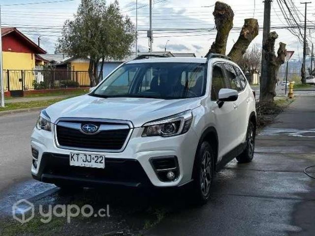 Vendo Forester 2019