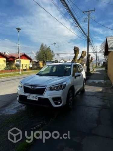 Vendo Forester 2019