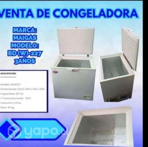 Congeladora Maigas 227litros