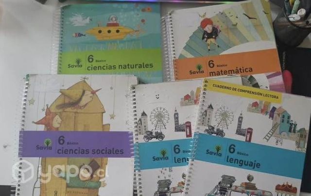 Libros textos 6to básico proyecto savia SM