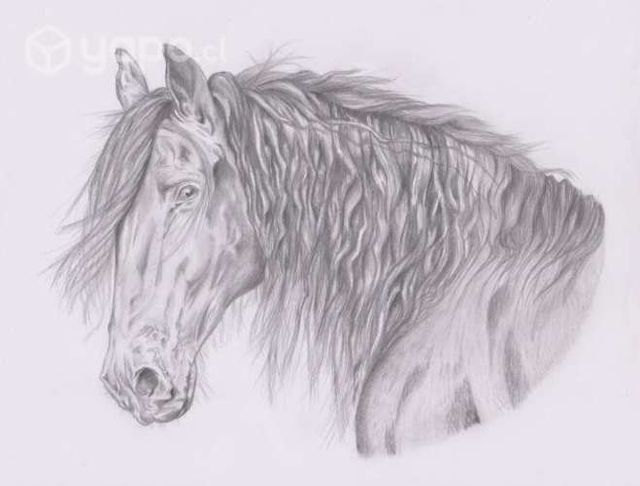 Retratos a pedido, un buen regalo