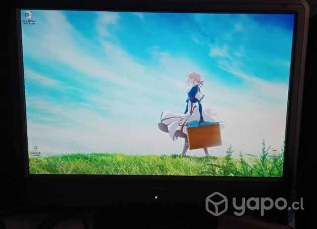Monitor Compaq w220q 22 pulgadas