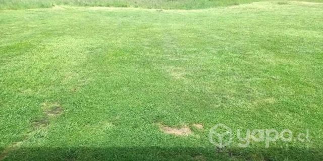 parcela a 10minutos de padre las casas