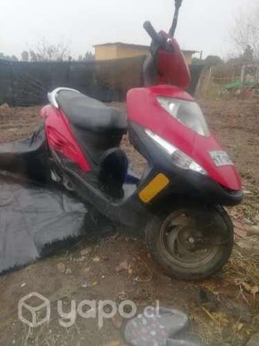 Honda elite
