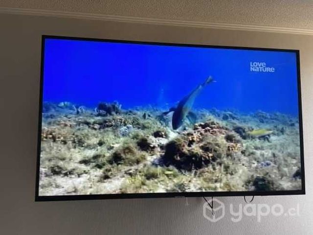 Televisor Samsung 55 pulgadas 4K smart