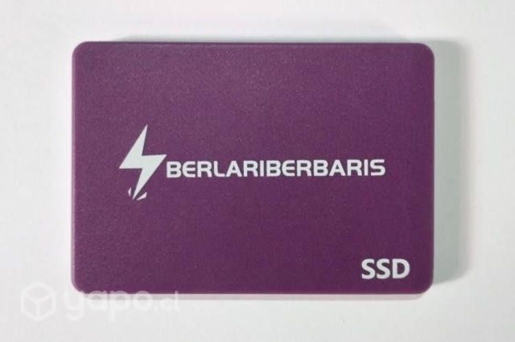 Disco Duro SSD 256GB