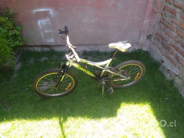 Bicicleta oxford para niños(aro20)