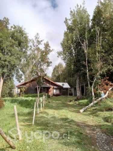 Hermosa parcela con bosque nativo