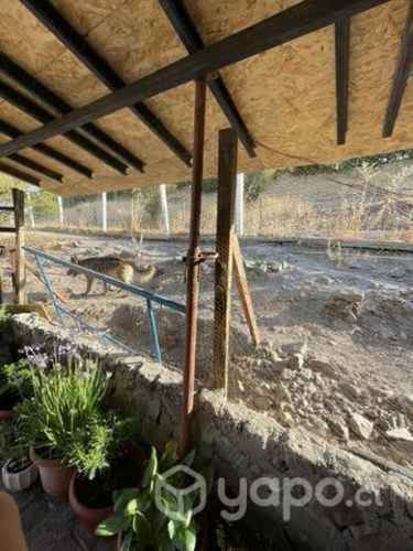 Alzaprima de alta carga