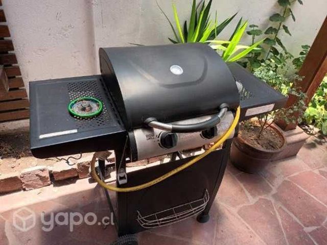 Parrilla a gas impecable
