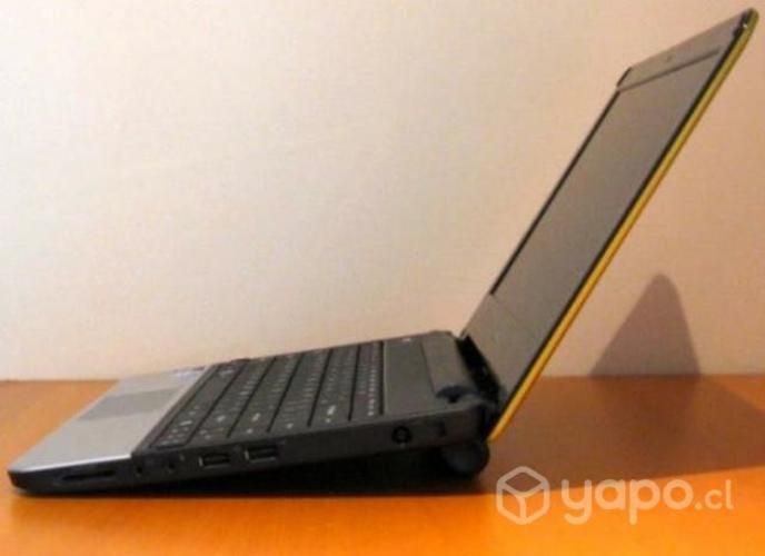 Netbook Dell (usado excelente estado)