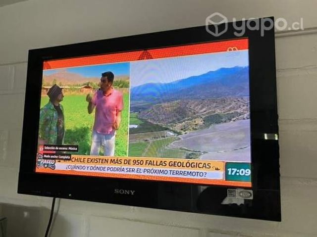 LCD Sony Bravia de 14 pulgadas