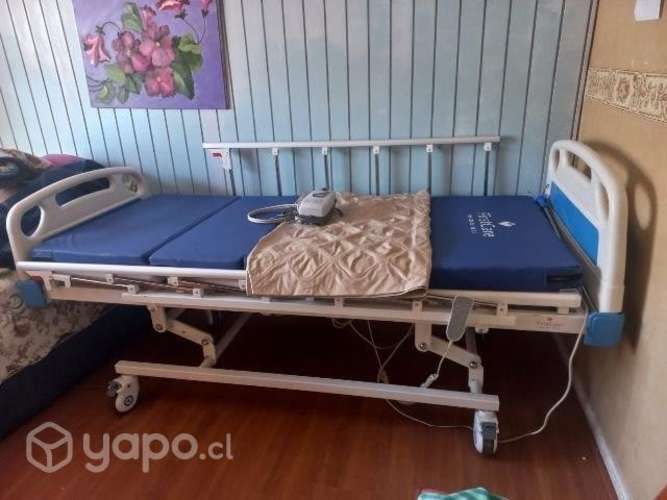 Cama clinica electrica firstcare