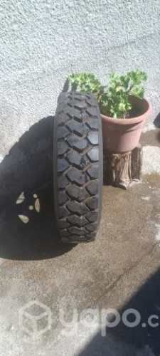 Neumático nuevo con llanta