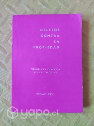 Delitos contra la propiedad - Richard Luis Vega L