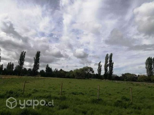 Se Venden Parcelas Camino maria Dolores km 6.5