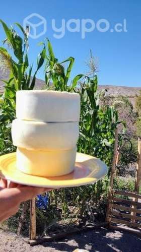 Quesos de cabra de pre cordillera de Ovalle ,