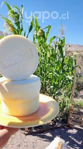 Quesos de cabra de pre cordillera de Ovalle ,