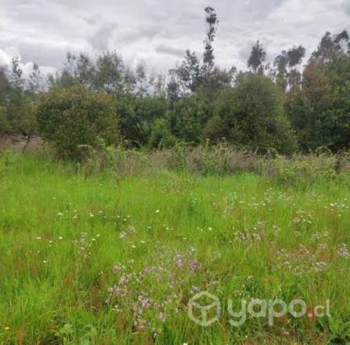 Terreno, sector Llancauito