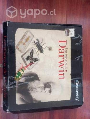 Colección de insectos