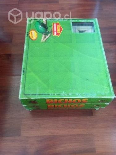 Colección de inswctos