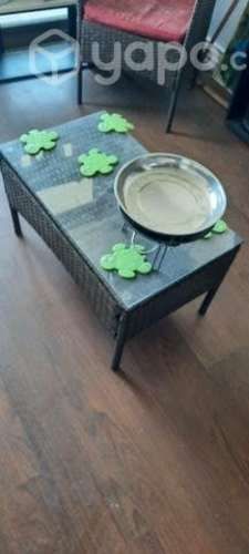 Mesa de centro y sillones