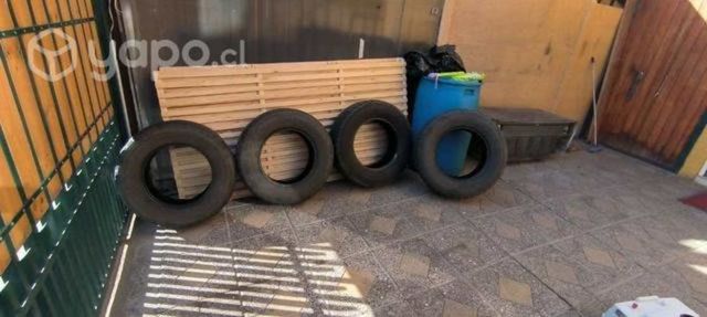 Neumáticos Raptor R16