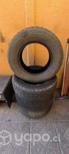 Neumáticos Raptor R16