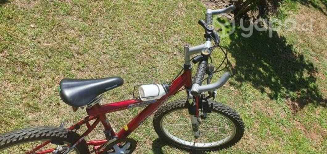 BICICLETA BIANCHI ARO 20 para niño