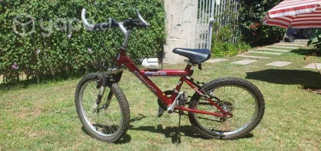 BICICLETA BIANCHI ARO 20 para niño