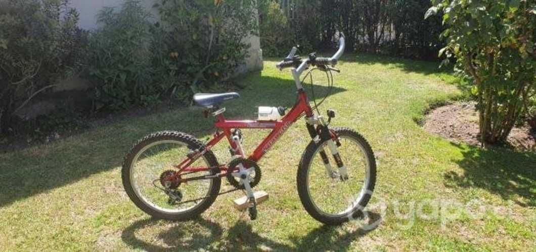 BICICLETA BIANCHI ARO 20 para niño