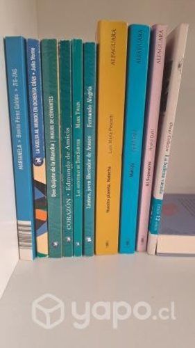 Libros variados "plan lector"