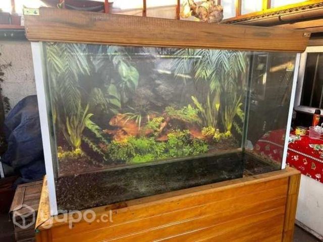 Acuario