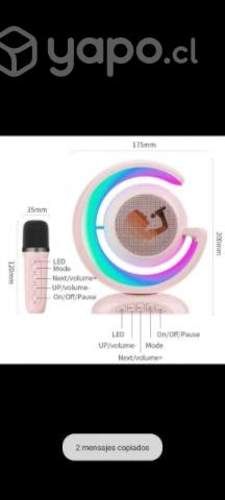 Parlante Bluetooth Karaoke Caja De Música Con Micr