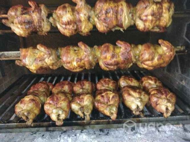 Me ofrezco para trabajar como maestro pollero