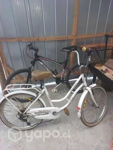 Bicicleta de aluminio y de paseo