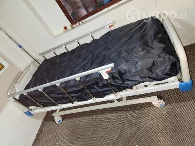 Cama Ortopédica