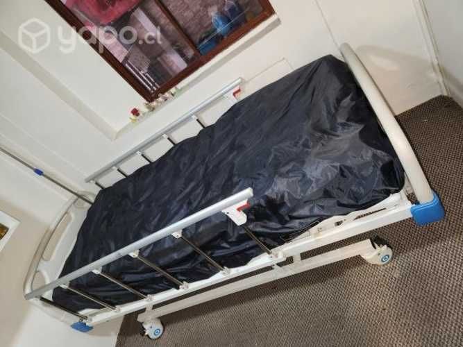 Cama Ortopédica
