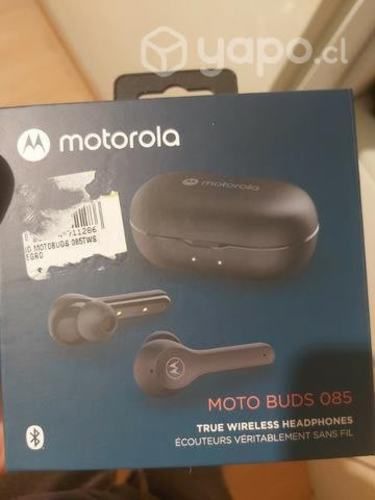 Audifonos moto buds 085