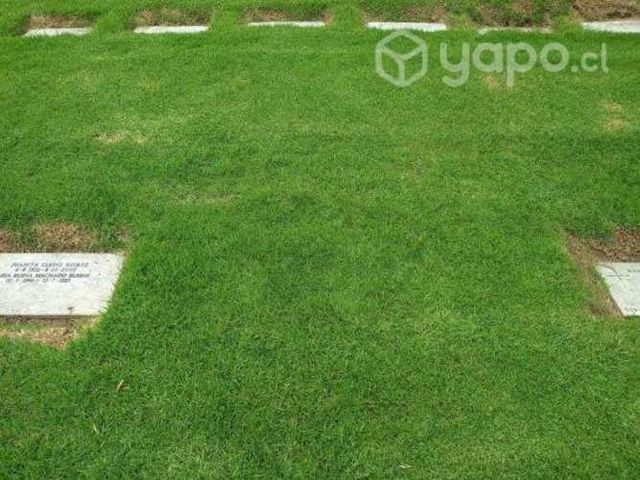 Sepultura Con 3 Comp. - Parque del recuerdo