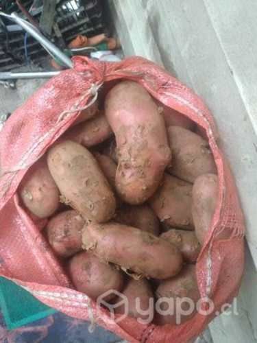 Papas patagonia