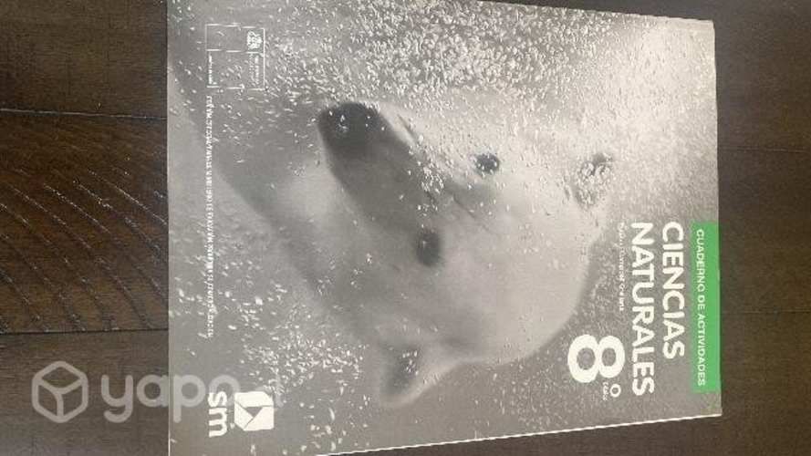 LIBROS TEXTO octavo básico con uso