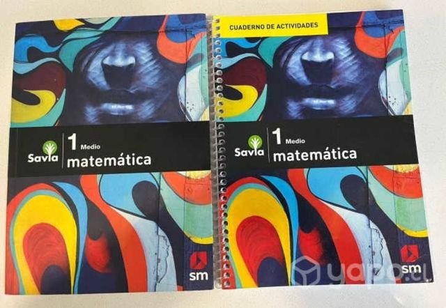 Texto Editorial SM Matematicas 1° Medio