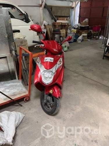 Honda elite
