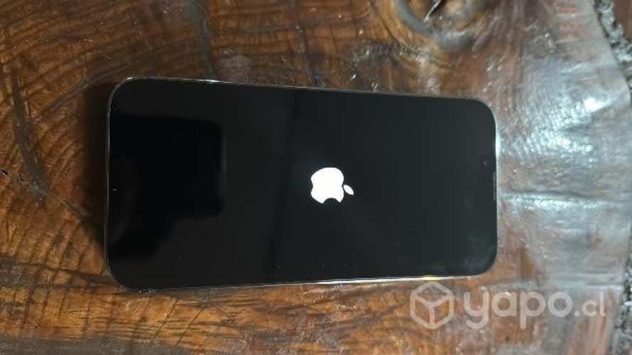 IPhone 13 Pro 256 gb