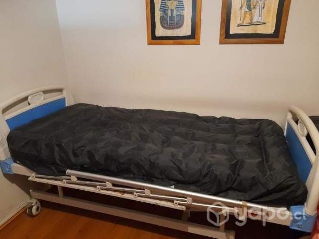 Catre clinico manual 3 posiciones, incluye colchon