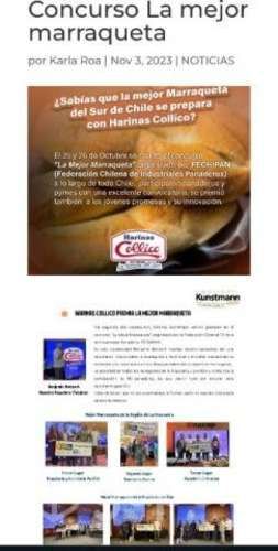 Harina 25 kilos molinos kunstmann