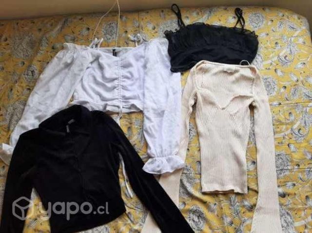 Lote de tops o poleras