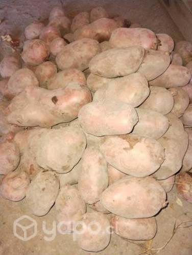 Venta de papas por saco