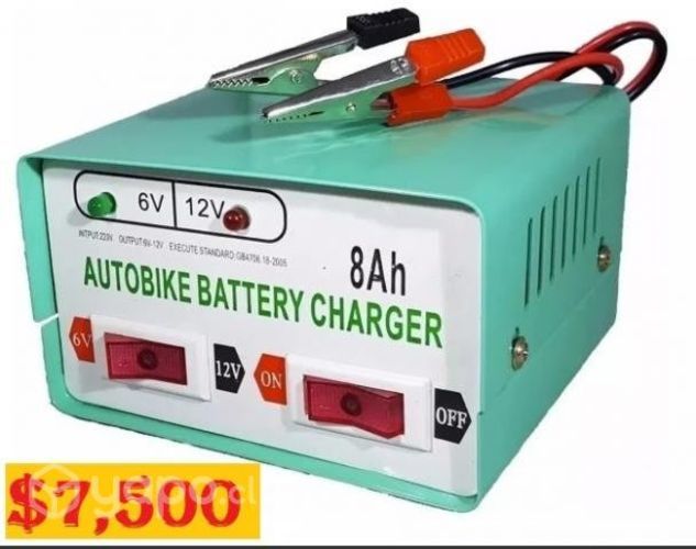 Cargador Bateria Auto Moto Scooter Camioneta Nuevo